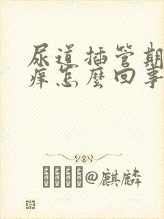 尿道插管期间疼痒怎么回事