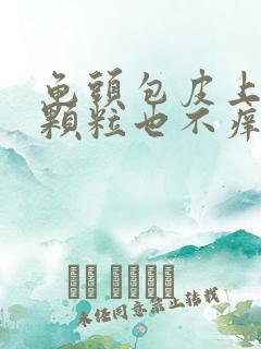 龟头包皮上长小颗粒也不痒