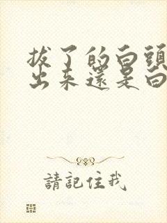 拔了的白头发长出来还是白的吗