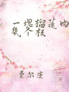 一块榴莲肉上有几个核