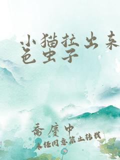 小猫拉出来的白色虫子