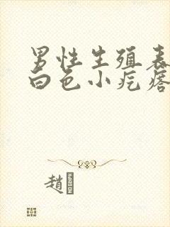 男性生殖表皮有白色小疙瘩是怎么回事