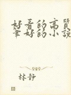 好看的高质量文笔好的小说