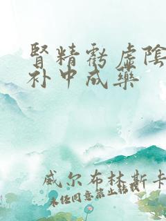 肾精亏虚阴阳双补中成药