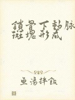 锁骨下动脉起始斑块形成