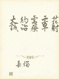 大约需要花多少钱治疗早射