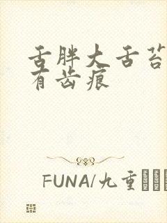 舌胖大舌苔厚黄有齿痕