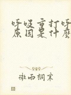 呼吸重打呼噜的原因是什么