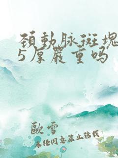 颈动脉斑块1.5厚严重吗