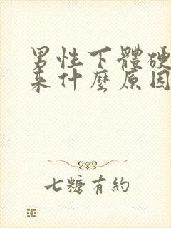 男性下体硬不起来什么原因