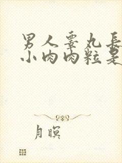 男人睾丸长了个小肉肉粒是什么原因