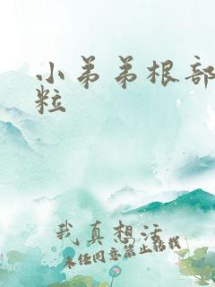 小弟弟根部小肉粒