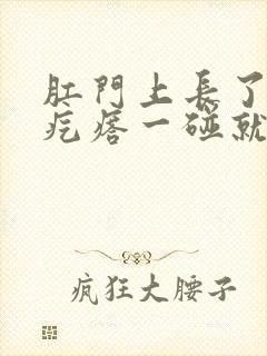 肛门上长了个硬疙瘩一碰就疼