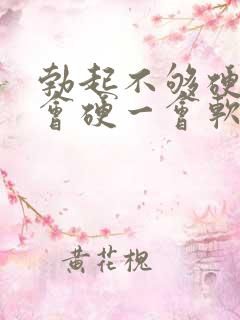 勃起不够硬,一会硬一会软