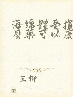 海绵体受损用什么药可以康复