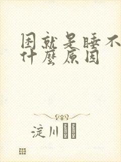 困就是睡不着是什么原因