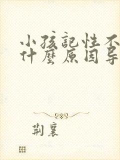 小孩记性不好是什么原因导致