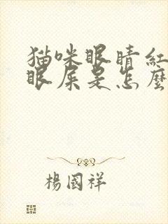 猫咪眼睛红肿有眼屎是怎么回事