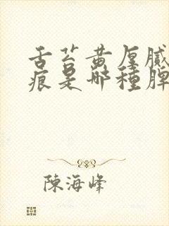 舌苔黄厚腻有齿痕是哪种脾虚