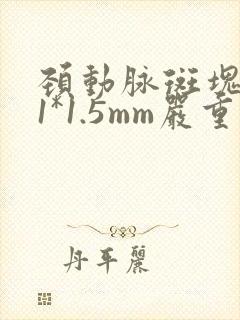 颈动脉斑块4.1*1.5mm严重吗