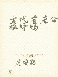 古代有老公这个称呼吗