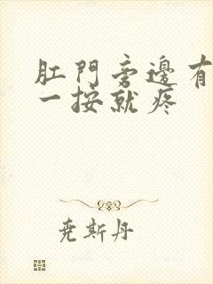 肛门旁边有肿块一按就疼