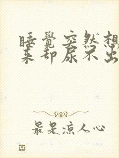 睡觉突然想尿醒来却尿不出