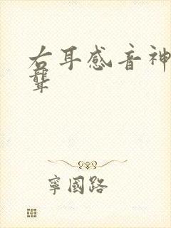 右耳感音神经性聋