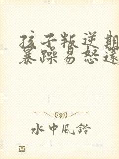 孩子叛逆期脾气暴躁易怒还骂人