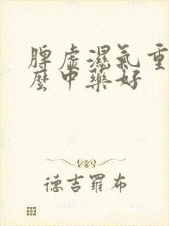 脾虚湿气重吃什么中药好