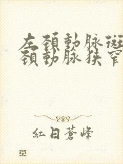 左颈动脉斑块和颈动脉狭窄怎么治