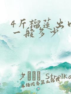 4斤榴莲出肉率一般多少