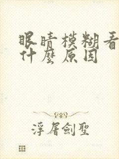 眼睛模糊看不见什么原因