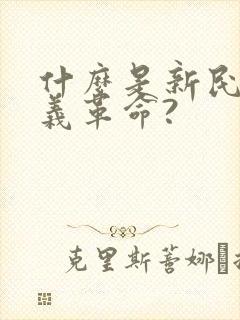 什么是新民主主义革命?