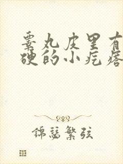 睾丸皮里有个硬硬的小疙瘩