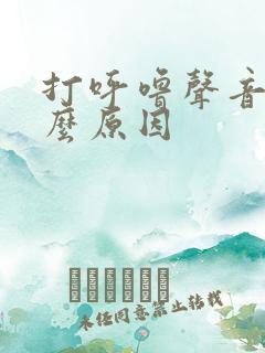 打呼噜声音大什么原因