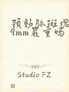 颈动脉斑块2.9mm严重吗