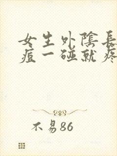 女生外阴长了痘痘一碰就疼