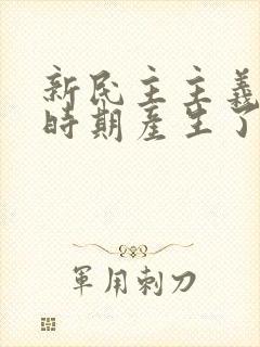 新民主主义革命时期产生了