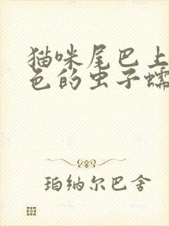 猫咪尾巴上有白色的虫子蠕动的,怎么办?