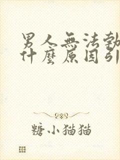 男人无法勃起是什么原因引起的