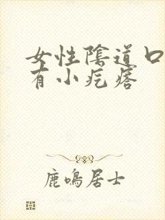 女性阴道口痒还有小疙瘩