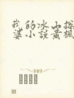 我的冰山总裁老婆小说黄枫雨天