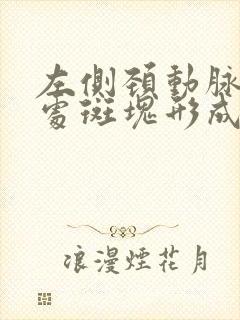 左侧颈动脉分叉处斑块形成是什么意思