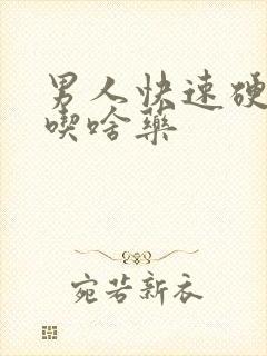 男人快速硬起来吃啥药