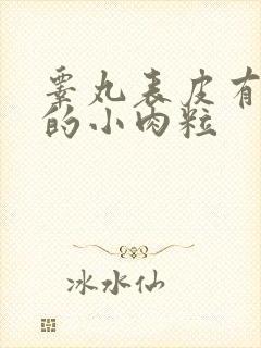 睾丸表皮有凸起的小肉粒