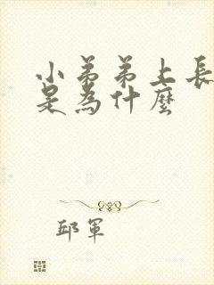 小弟弟上长水泡是为什么