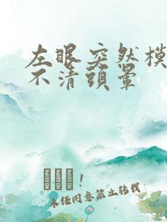 左眼突然模糊看不清头晕