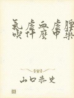 气虚血虚脾胃虚吃什么中药调理