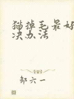 猫掉毛最好的解决办法